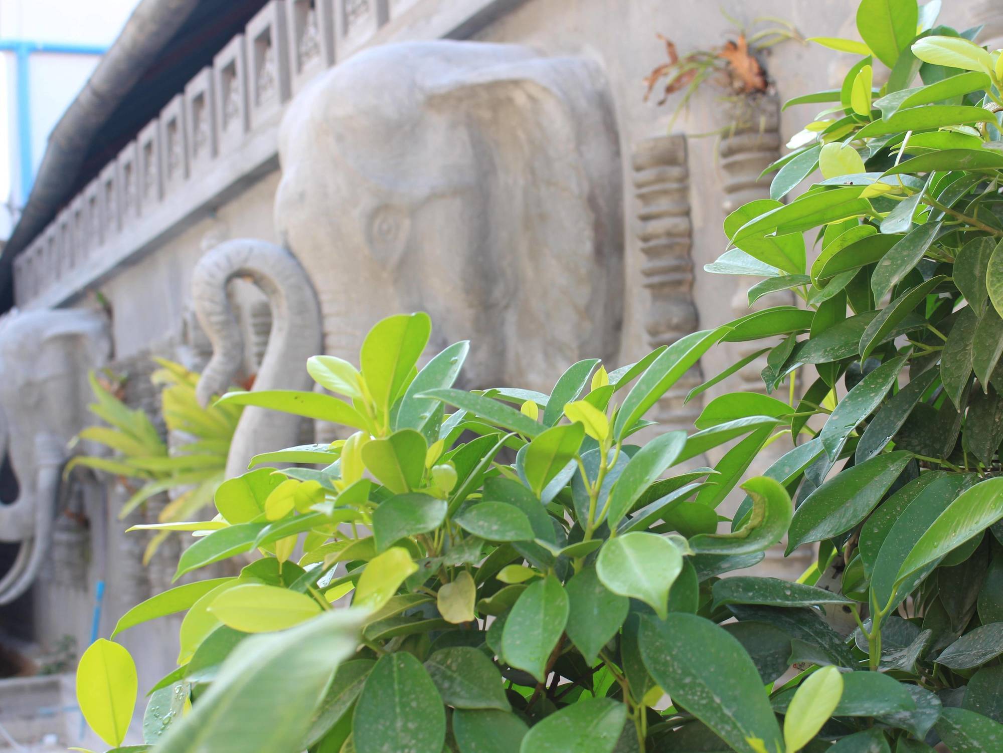 Fancy Boutique Villa Hotel Siem Reap Esterno foto